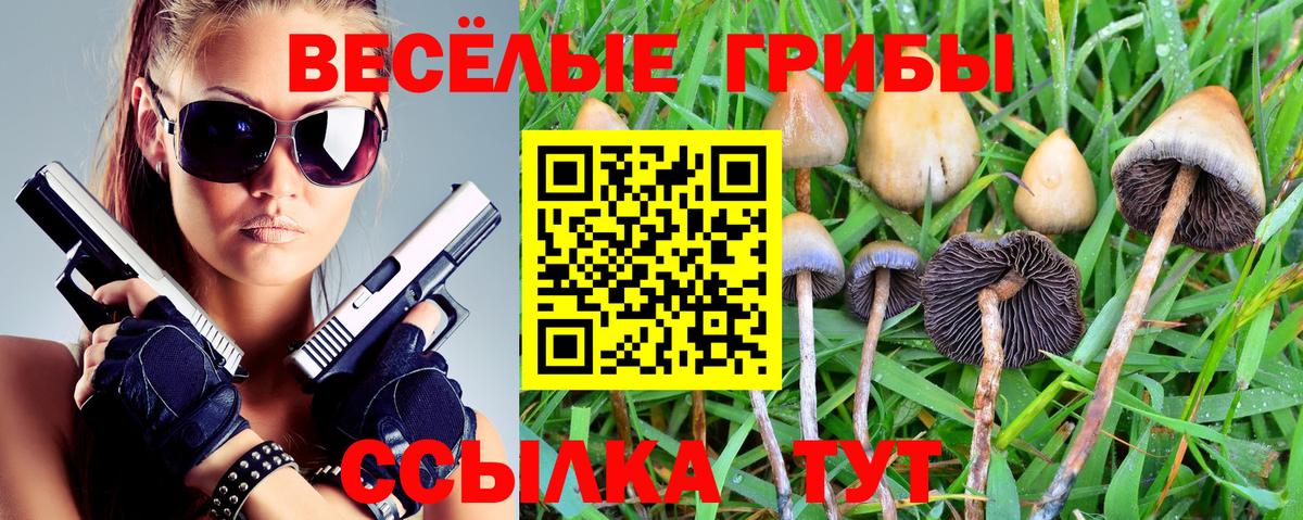 Галлюциногенные грибы Cubensis  Вход с VPN  Белгород 