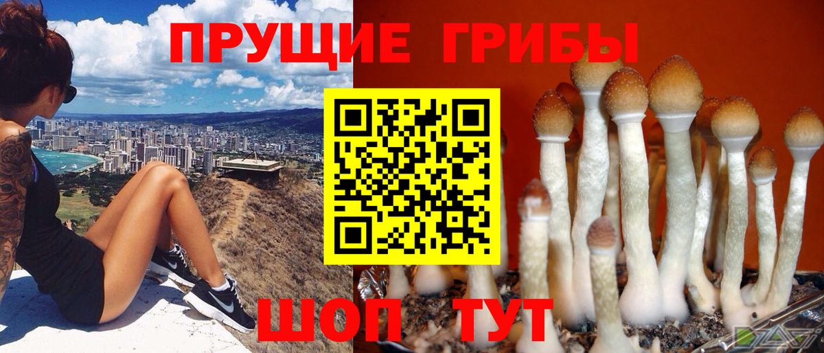 Галлюциногенные грибы ЛСД Белгород